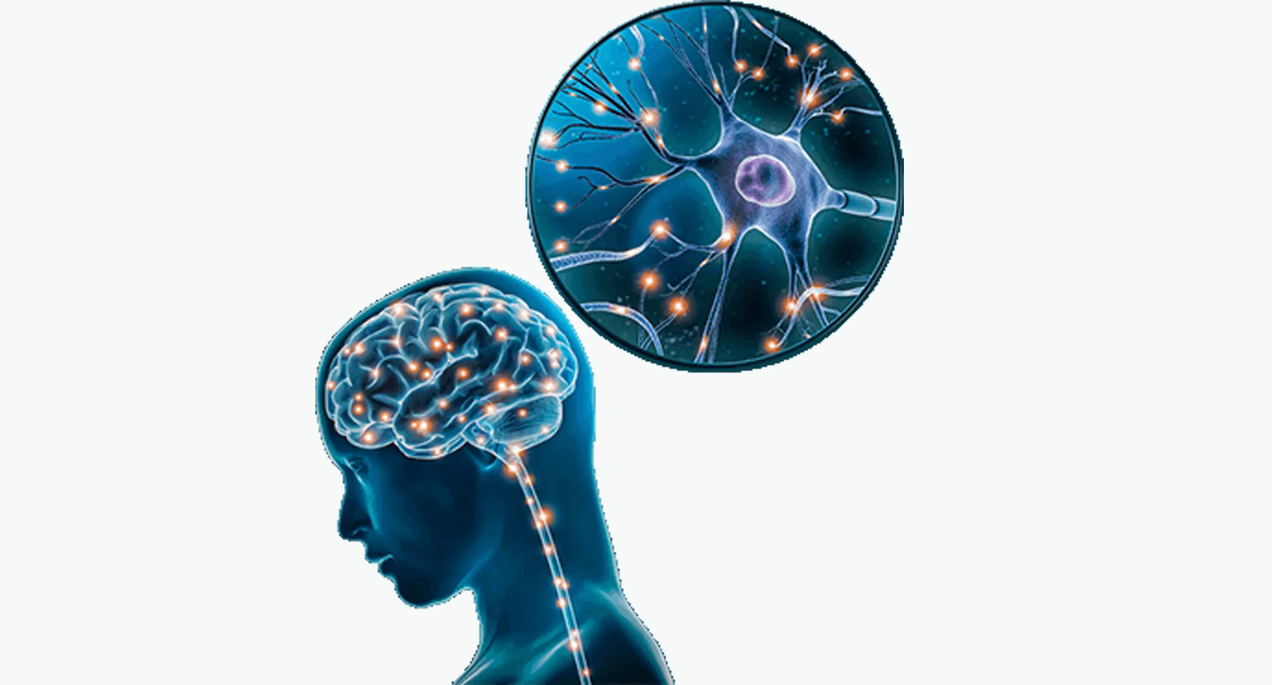 How The Memory Wave works to improve memory and focus enhancement using sound frequencies for cognitive performance boost - The Memory Wave reviews